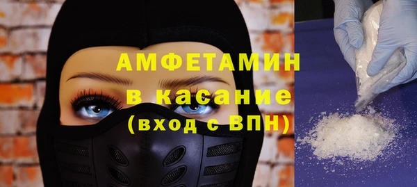 индика Бородино