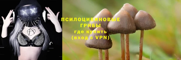 ALPHA-PVP Верея